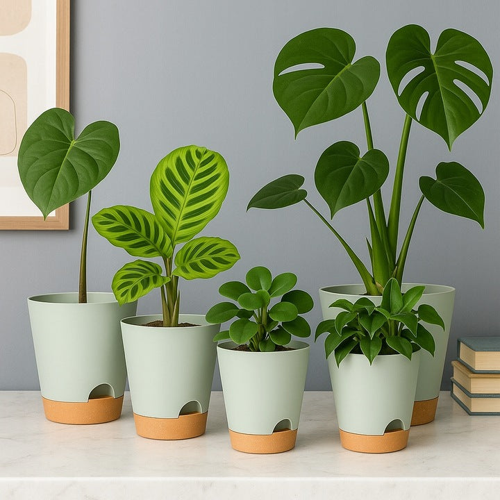 Doniczki Samonawadniające