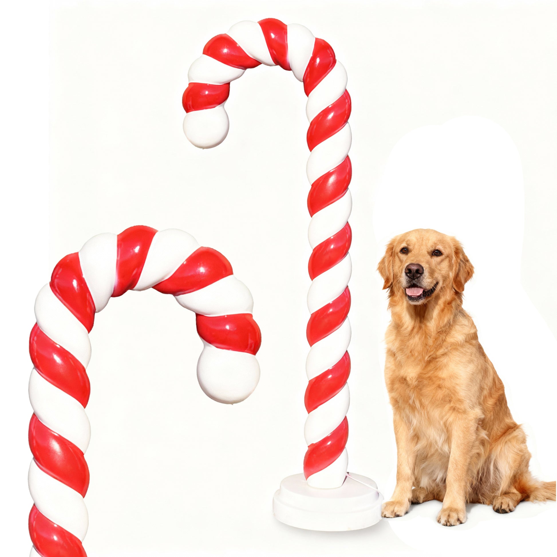 Laska Cukrowa LED 1,6m