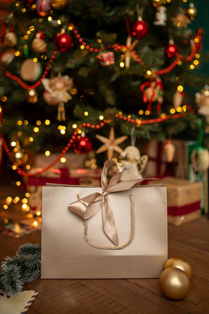 Torba Prezentowa z Kokardą 2szt.