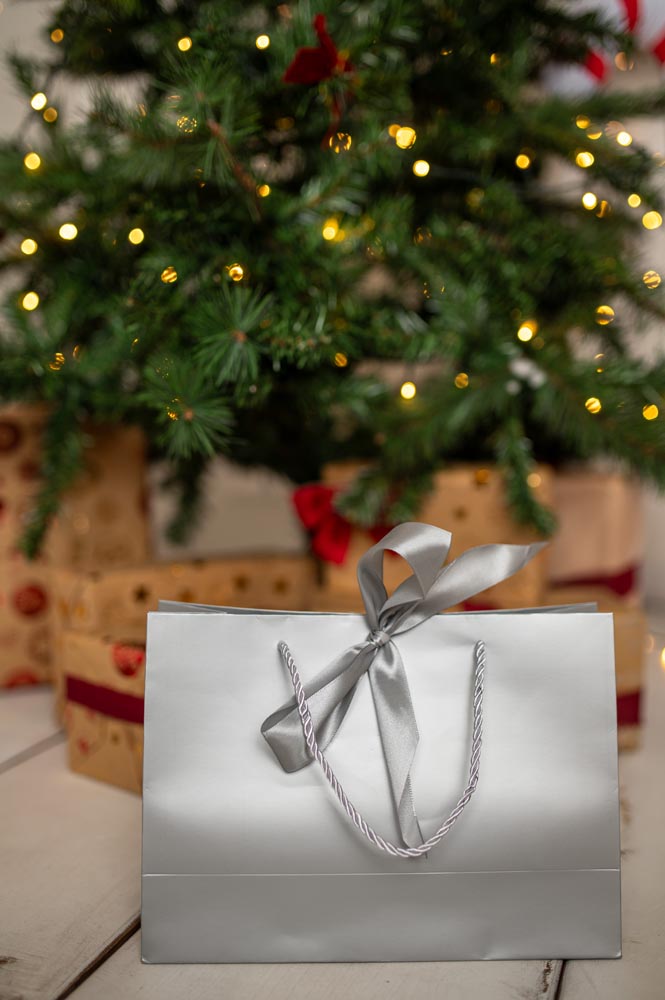 Torba Prezentowa z Kokardą 2szt.