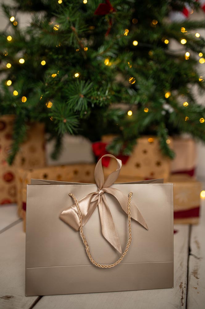 Torba Prezentowa z Kokardą 2szt.