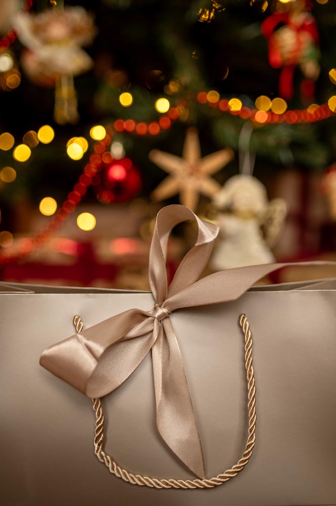 Torba Prezentowa z Kokardą 2szt.