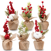 Zestaw Stroików Świątecznych 6szt