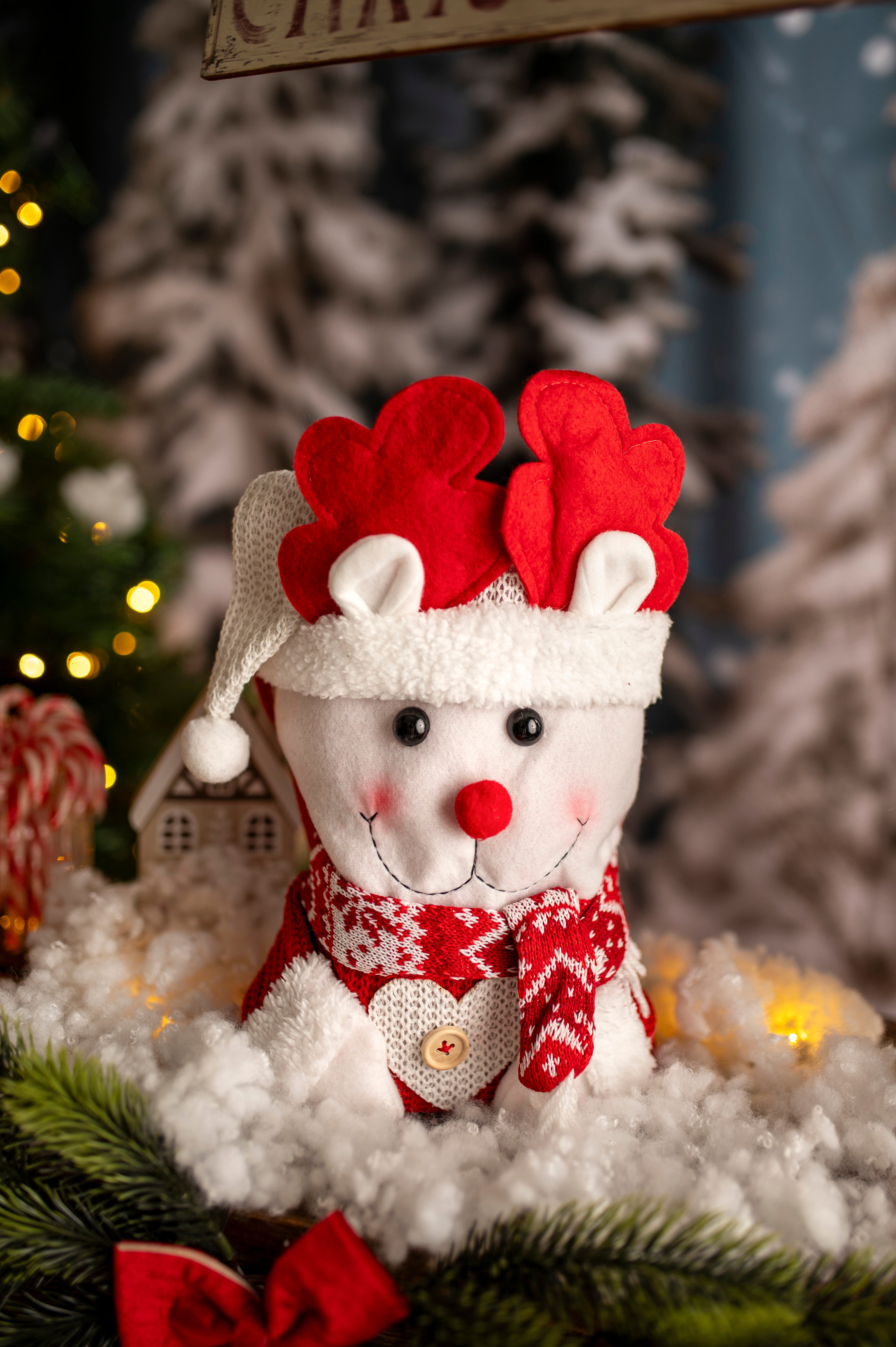 Torba Przezentowa 220x300mm