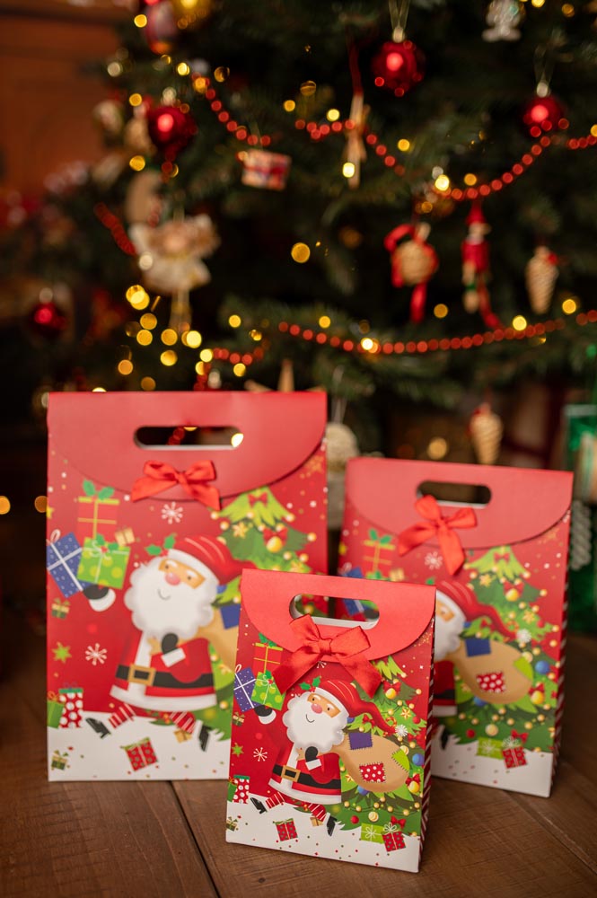 Papierowe torby świąteczne z motywem Mikołaja 3szt