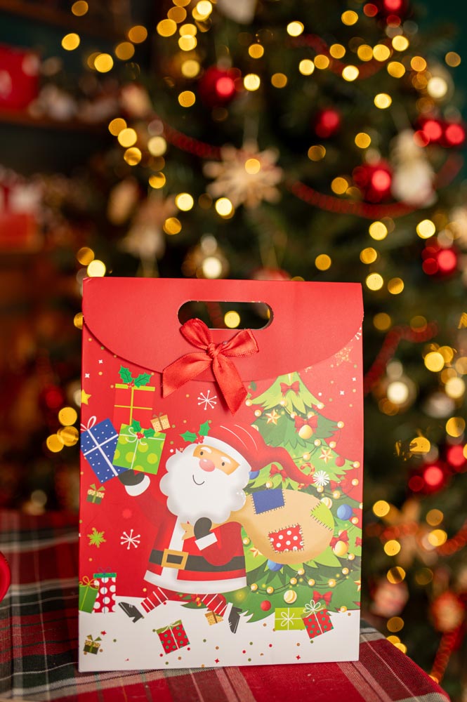 Papierowe torby świąteczne z motywem Mikołaja 3szt